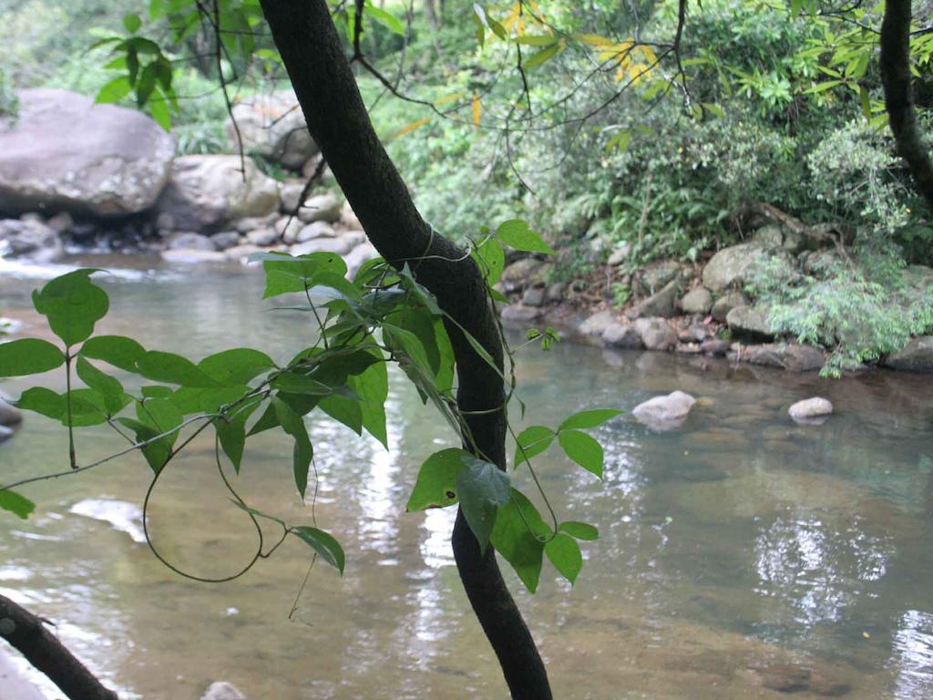 River Garden Resort Belihuloya Esterno foto